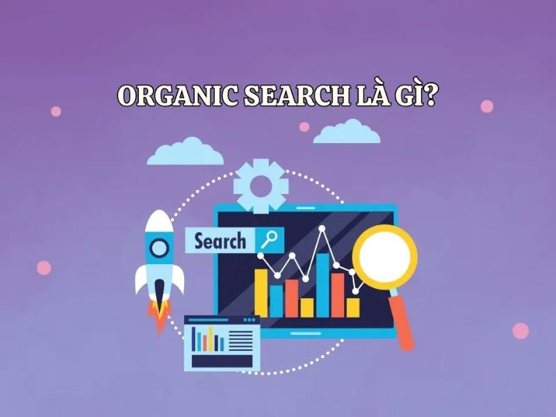 Organic Search